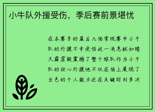 小牛队外援受伤，季后赛前景堪忧