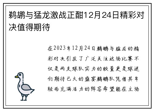 鹈鹕与猛龙激战正酣12月24日精彩对决值得期待