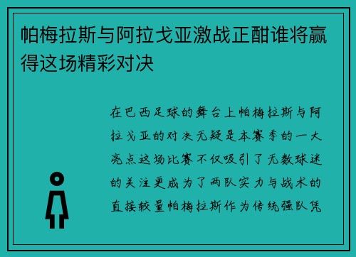 帕梅拉斯与阿拉戈亚激战正酣谁将赢得这场精彩对决