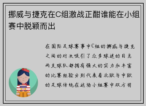 挪威与捷克在C组激战正酣谁能在小组赛中脱颖而出