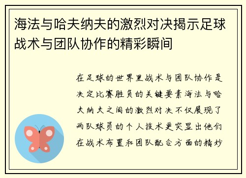 海法与哈夫纳夫的激烈对决揭示足球战术与团队协作的精彩瞬间